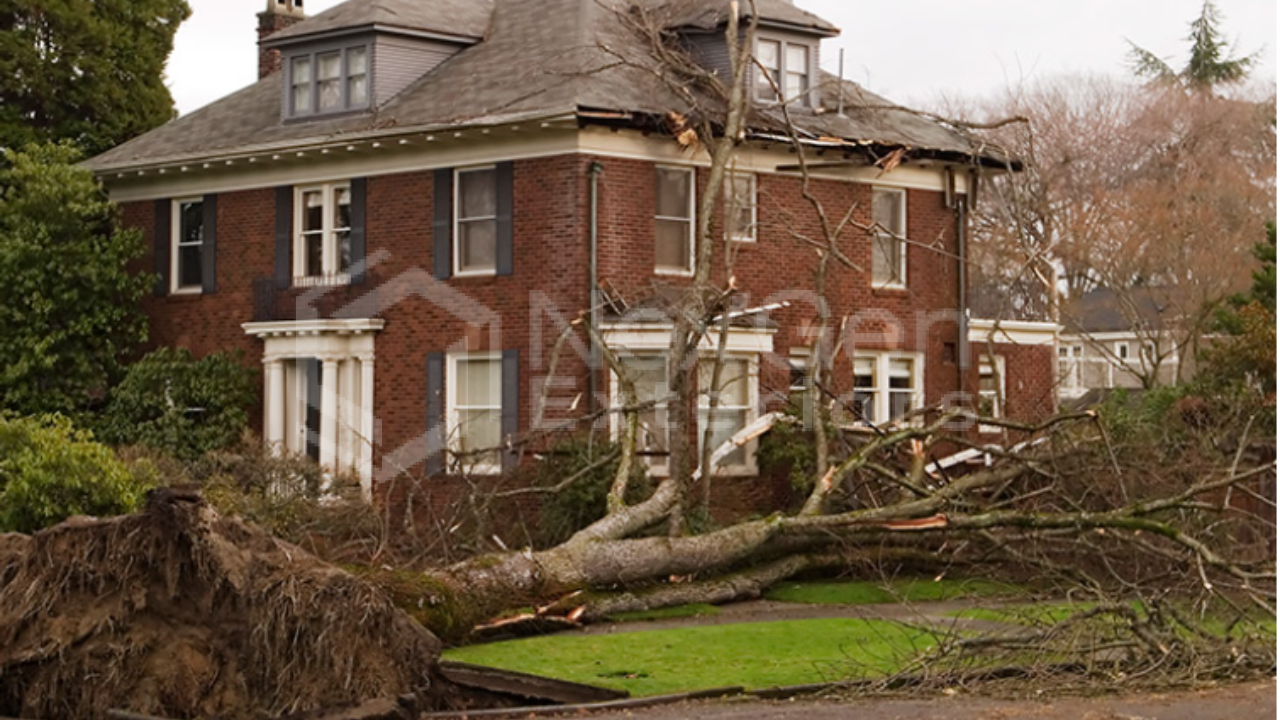 Storm Damage